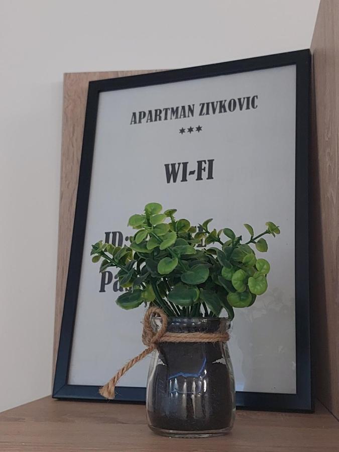 Apartman Zivkovic Leskovac (Jablanica) Exterior foto