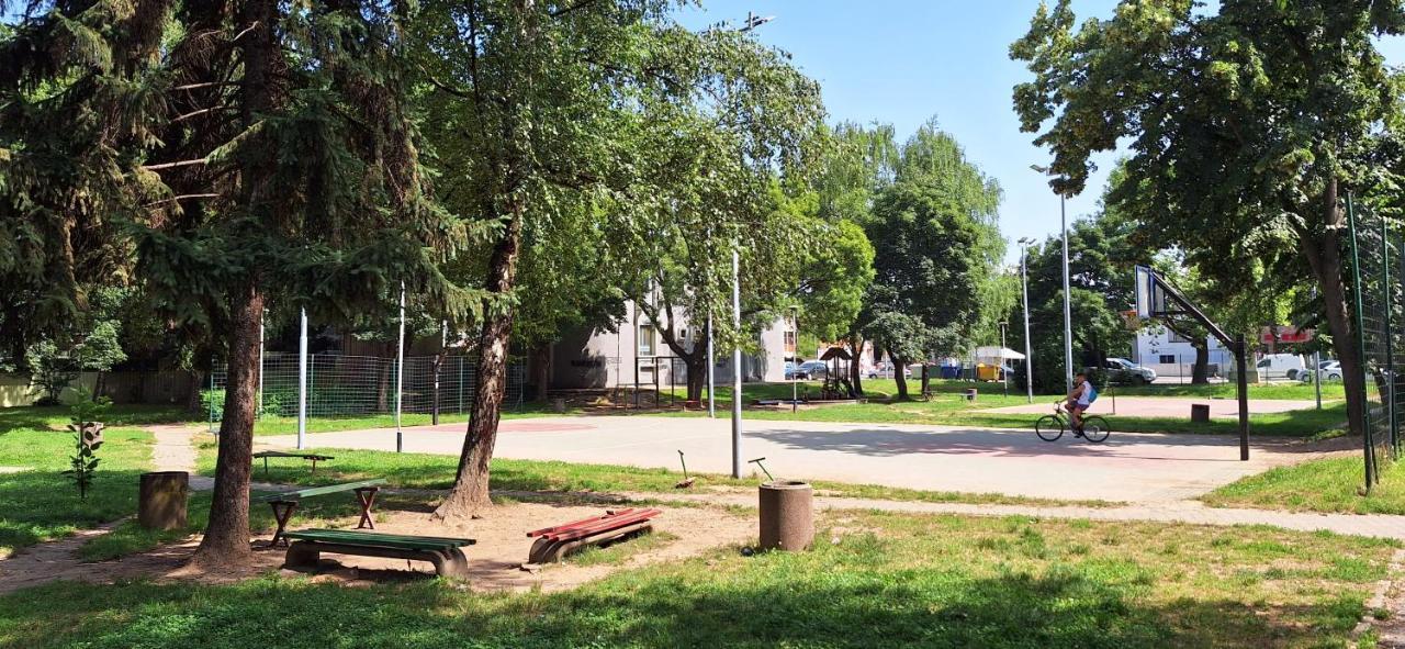 Apartman Zivkovic Leskovac (Jablanica) Exterior foto